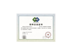 双软认证咨询