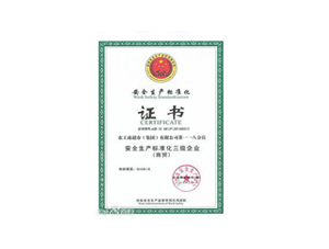 安全标准化建设流程